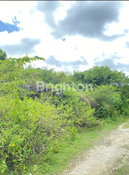 image TANAH DIJUAL STRATEGIS DIBAWAH NJOP DI JIMBARAN KUTA BALI DEKAT GWK DAN JL RAYA KAMPUS UDAYANA COCOK  UNTUK VILLA, RUMAH DAN KOS-KOSAN (4)