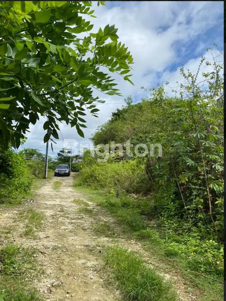 image TANAH DIJUAL STRATEGIS DIBAWAH NJOP DI JIMBARAN KUTA BALI DEKAT GWK DAN JL RAYA KAMPUS UDAYANA COCOK  UNTUK VILLA, RUMAH DAN KOS-KOSAN (5)