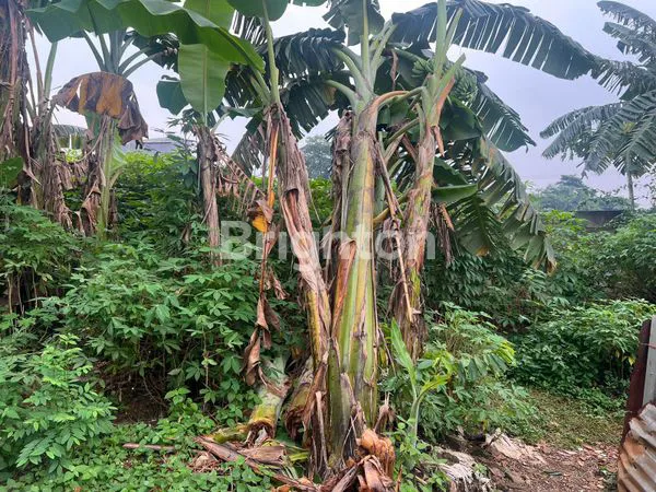 image LAHAN DEKAT STASIUN  (4)