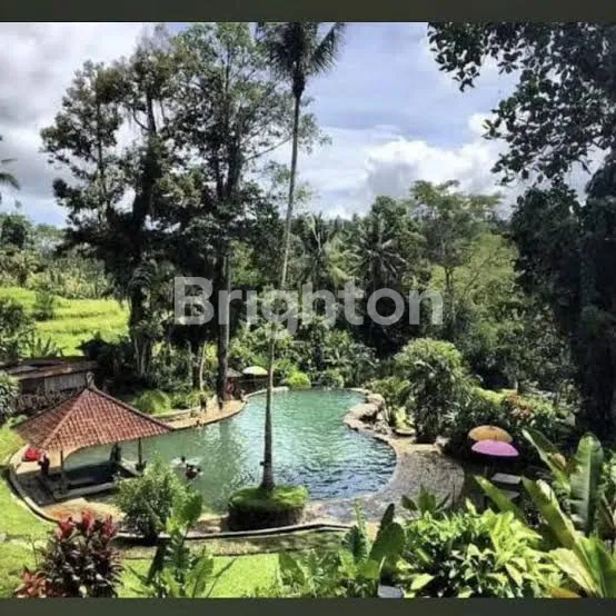 image TANAH DI SAMPING HOT SPRING YEH PANES TABANAN (4)