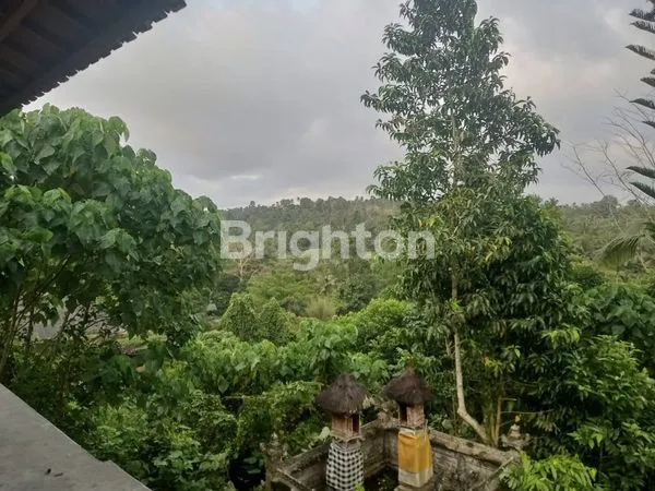 image TANAH DI SAMPING HOT SPRING YEH PANES TABANAN (6)