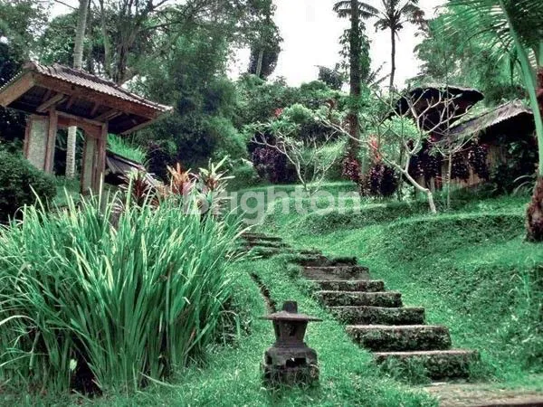 image TANAH DEKAT WISATA AIR PANAS YEH PANES (1)