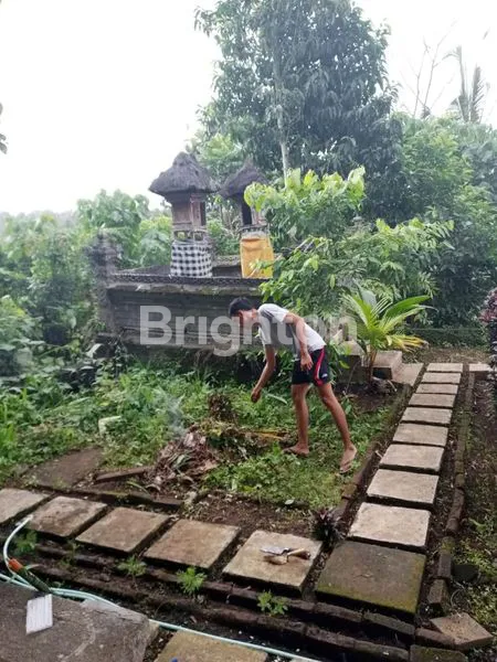 image TANAH DEKAT WISATA AIR PANAS YEH PANES (2)