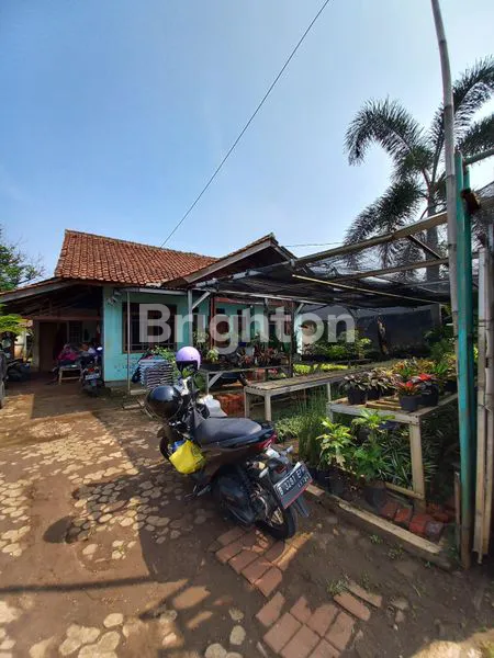 image TANAH PERKEBUNAN AKSES JALAN UTAMA (2)