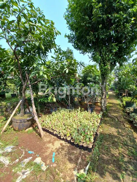 image TANAH PERKEBUNAN AKSES JALAN UTAMA (4)