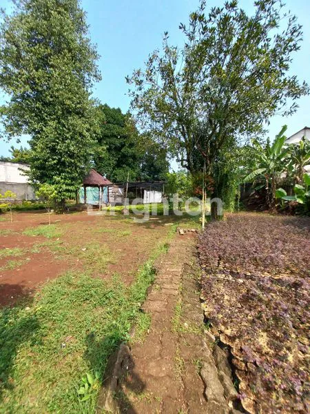 image TANAH PERKEBUNAN AKSES JALAN UTAMA (5)