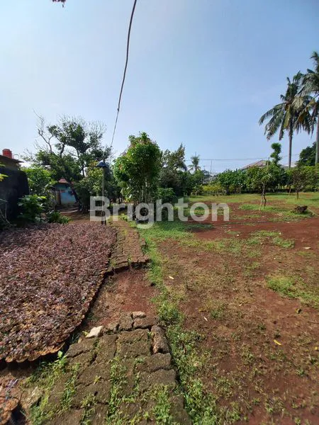 image TANAH PERKEBUNAN AKSES JALAN UTAMA (6)