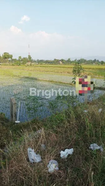 Gambar Property DIJUAL TANAH MURAH DAN LUAS DI KLATEN TENGAH