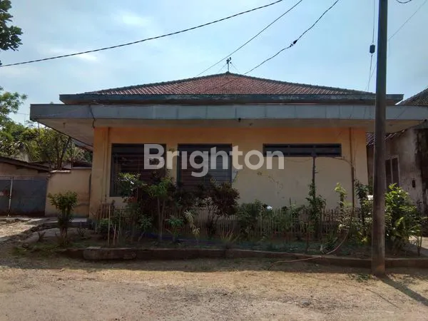 image RAYA THAMRIN LAWANG (1)