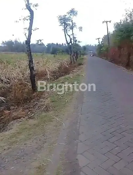 image LAHAN KERING, RATA JALAN, LUAS, UNTUK PERUMAHAN, PASURUAN (2)