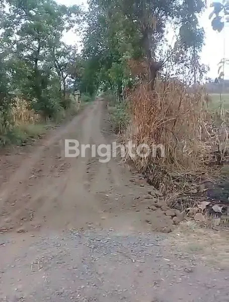 image LAHAN KERING, RATA JALAN, LUAS, UNTUK PERUMAHAN, PASURUAN (3)