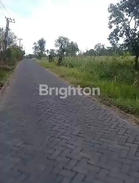 image LAHAN KERING, RATA JALAN, LUAS, UNTUK PERUMAHAN, PASURUAN (4)