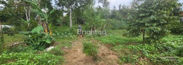 image KEMUNING, KARANGANYAR : TANAH PEKARANGAN DI AREA WISATA KEMUNING . LT 2200M (6)