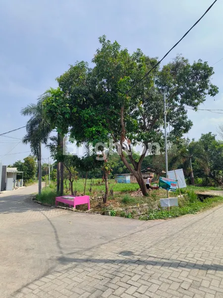 image TANAH LABAN MENGANTI MASUK GANG (SIAP BANGUN) (2)