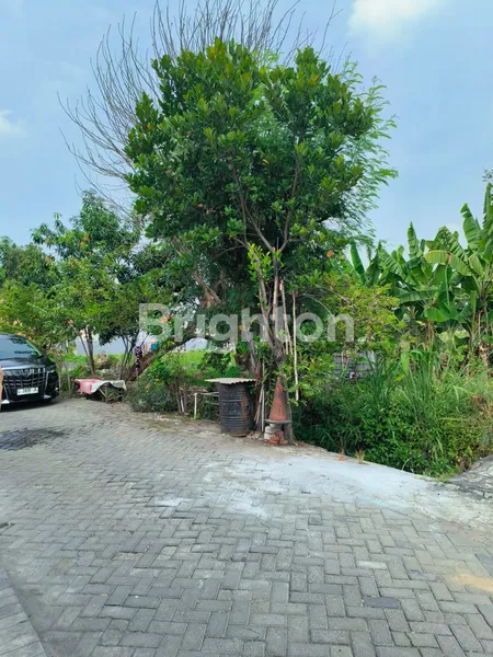 image TANAH LABAN MENGANTI MASUK GANG (SIAP BANGUN) (6)