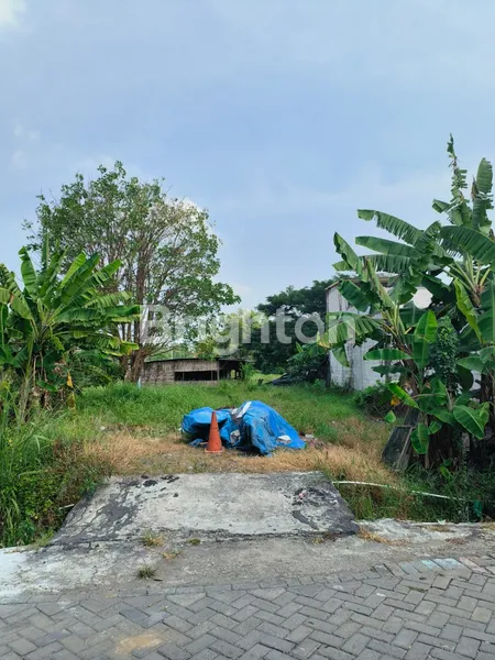 image TANAH LABAN MENGANTI MASUK GANG (SIAP BANGUN) (7)