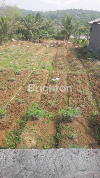 TANAH DARAT SEBELAH LOKASI WISATA SITU PASIR MAUNG