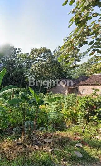 image JUAL TANAH BARAN BURING (2)