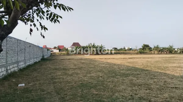 image TANAH DI LATSARI, TUBAN KOTA (1)