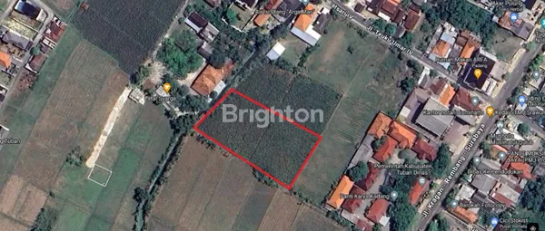 image TANAH DI LATSARI, TUBAN KOTA (3)