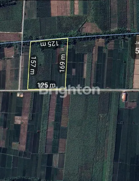 image TANAH LUAS DI MOJOKERTO JAWA TIMUR  (1)