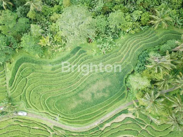 image DIJUAL LAHAN VIEW BUKIT TERASERING  YG SEJUK DAN INDAH (2)