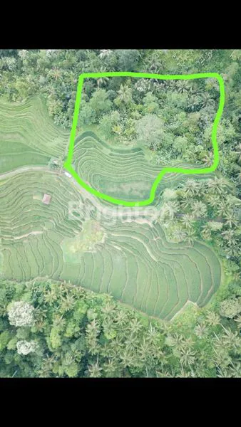 image DIJUAL LAHAN VIEW BUKIT TERASERING  YG SEJUK DAN INDAH (3)