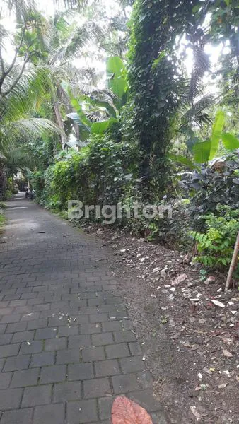 image TANAH KAV 21 ARE/ 450JT PER ARE DS SAYAN UBUD (1)