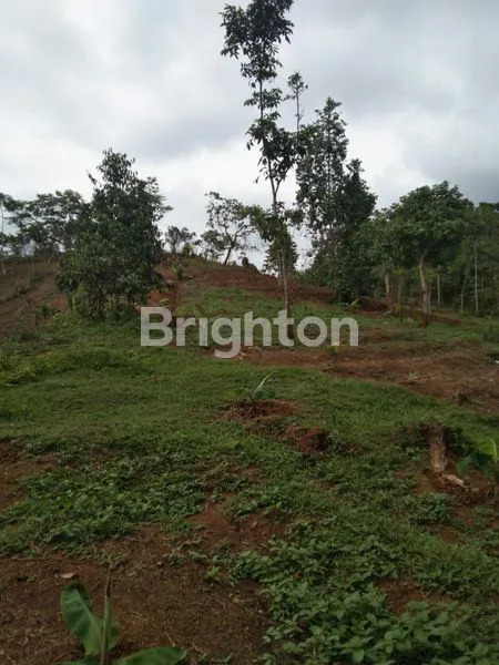 JUAL TANAH DI PANDEGLANG BANTEN