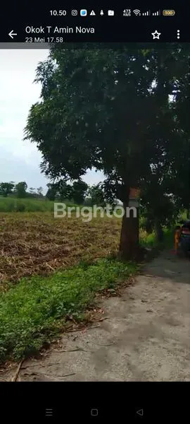 image TANAH LUAS HARGA MURAH, COCOK UNTUK SEGALA USAHA  (2)