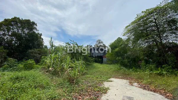 image JUAL CEPAT TANAH STRATEGIS JL. TUAH SEKATA PEKANBARU (4)