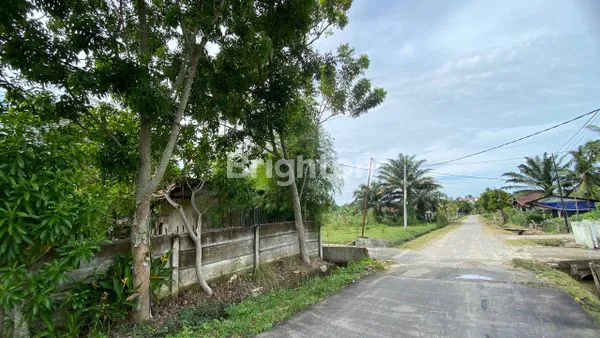 image JUAL CEPAT TANAH STRATEGIS JL. TUAH SEKATA PEKANBARU (3)