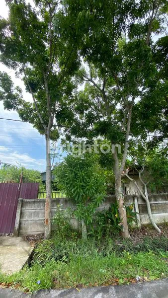 image JUAL CEPAT TANAH STRATEGIS JL. TUAH SEKATA PEKANBARU (5)