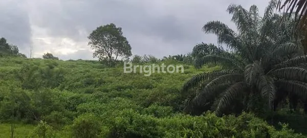 image TANAH DIJUAL DI KILO 26 SAMBOJA (2)