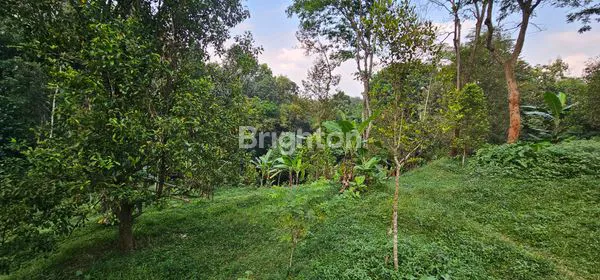 image TANAH STRATEGIS / MURAH UNTUK INVESTASI  DI DESA KALISIDI UNGARAN (5)