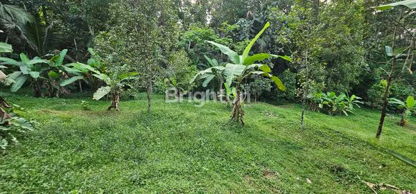 image TANAH STRATEGIS / MURAH UNTUK INVESTASI  DI DESA KALISIDI UNGARAN (7)