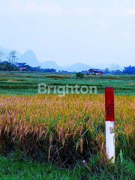 Gambar Property TANAH DESA CARIU DI BOGOR TIMUR
