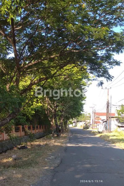 image TANAH PRODUKTIF DI SURABAYA TIMUR (1)