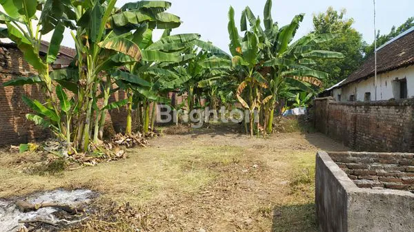 image TANAH STRATEGIS DOLOPO JALAN RAYA (3)