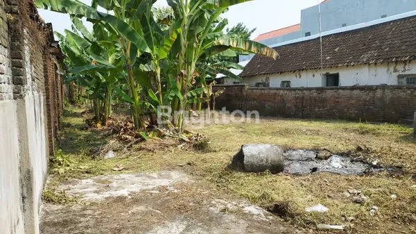 image TANAH STRATEGIS DOLOPO JALAN RAYA (4)