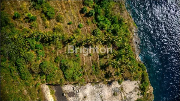 image  NEW PROYEK 3 KARANG LOS TEBING - NUSA PENIDA BALI (1)