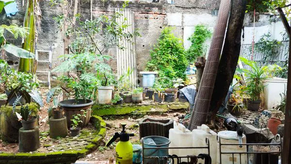 image RUMAH ASRI DAN NYAMAN DI CIJANTUNG (8)