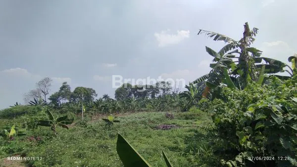image TANAH KOSONG PINGGIR JALAN NOL KM KE GERBANG SIRKUIT SENTUL (4)