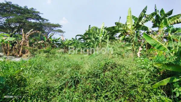 image TANAH KOSONG PINGGIR JALAN NOL KM KE GERBANG SIRKUIT SENTUL (5)