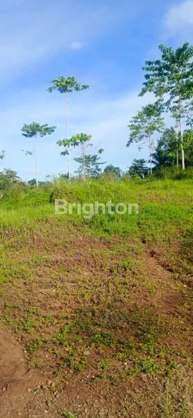 TANAH LUAS DI SELEMADEG TIMUR, TABANAN-COCOK DIBUAT TEMPAT PRODUKSI, INDUSTRI PABRIK, GUDANG, PERKEBUNAN