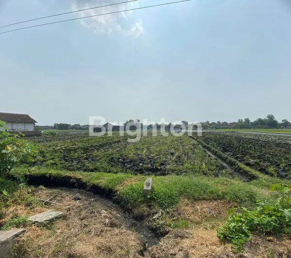 image TANAH KERING ZONA MERAH INDUSTRI LEBAR DEPAN 20 METER (2)