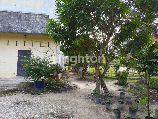 image JUAL RUMAH WALET BESERTA KEBUN NEGO JL. LINTAS TIMUR (5)