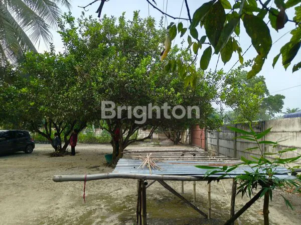 image JUAL RUMAH WALET BESERTA KEBUN NEGO JL. LINTAS TIMUR (8)