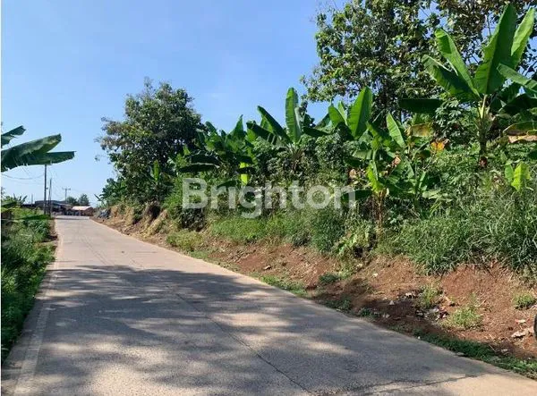 image HARGA DAMAI SIAP DIPINANG  (2)