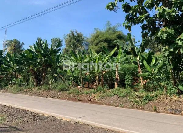 image HARGA DAMAI SIAP DIPINANG  (4)